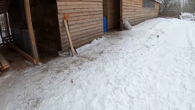 ТАЙСОН ПРИКОНЧИЛ ОПЯТЬ! ДЕЛАЮ РЕМОНТ В МАСТЕРСКОЙ. #жизньвдеревне #villagelife #хутор смотреть онлайн