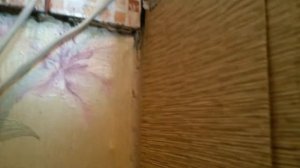 ???Чем опасны тараканы???Супер эффективное средство от тараканов!!! Без запаха! сэспрофи.рф