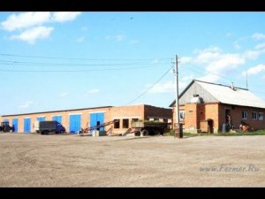 База фермерского хозяйства Урожайное