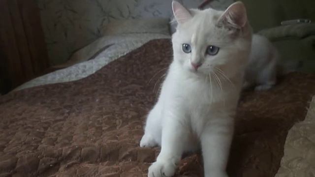 P1000824 смотреть онлайн