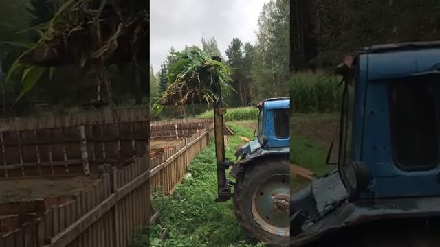 уборка кукурузы под навес смотреть онлайн