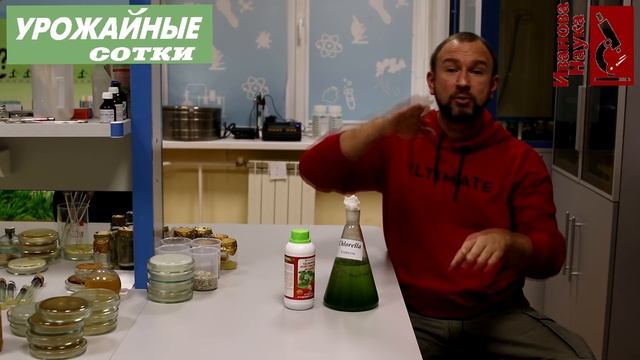 Не забудьте о хлорелле!!!! Все нюансы использования и выращивания хлореллы дома.