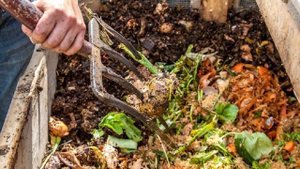 Как сделать правильный компост. Почему в компост нельзя класть хлеб