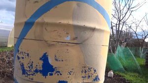 ВЕСНА В РАЗГАРЕ?? ПЕРЕКРАСИЛА ЧТОБЫ БОЛЬШЕ НЕ РАЗДРАЖАЛО НИКОГО?