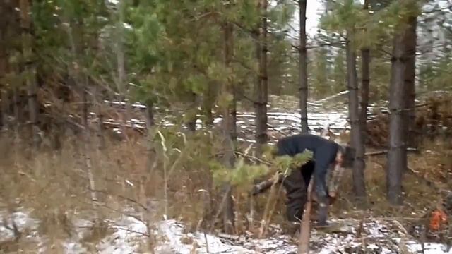 самый надежный вид транспорта смотреть онлайн