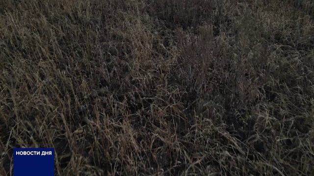 ЗЕМЕЛЬНЫЕ СПОРЫ В ТАШЛИНСКОМ РАЙОНЕ