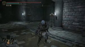 Как быстро добежать до Жреца крови Эсгар в Катакомбах Лейнделла