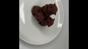 4 хомяка. #annachocolad