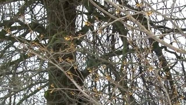 Сбой в программе смотреть онлайн