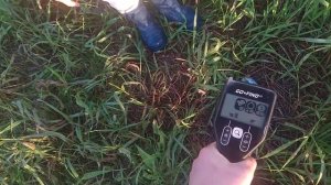Minelab Go-Find 11 ПЕРВОЕ ВИДЕО