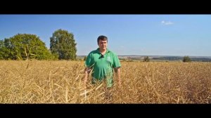 Опыт применения препаратов ГК "Шанс" на яровом рапсе в Нижегородской области