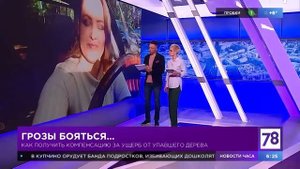 На машину упало дерево что делать. Упало дерево кто отвечает