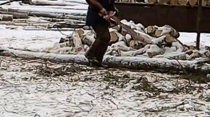 Как работают настоящии лесорубы