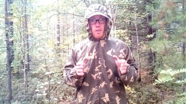 ПОГОНЫ КАПИТАНА ЗА СПАСЕНИЕ ЩЕНКА или АДМИНИСТРАТИВНАЯ СХЕМА "БЛАГОУСТРОЙСТВА" ЗЕМЛИ 2020-08-28 смотреть онлайн