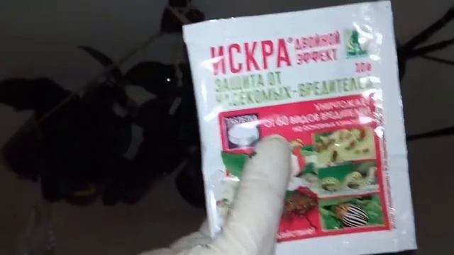 Инсектицид ИСКРА для орхидей смотреть онлайн