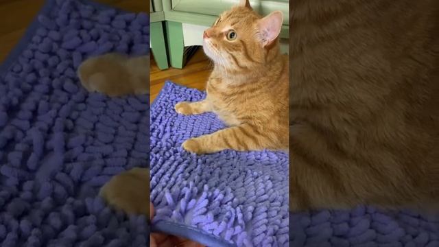 Нескользящий мягкий коврик для ванной из микрофибры смотреть онлайн