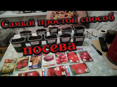 Самый простой способ посева томатов