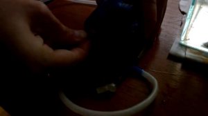 Сделай сам : распылители для аквариума