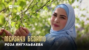 Роза Янгульбаева - Мерзачу безамо | KAVKAZ MUSIC CHECHNYA