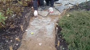 Альпийская горка с хвойными растениями, рядом дорожка и лиственные кустарники