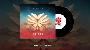 NLO22 - IKIGAI (2023)