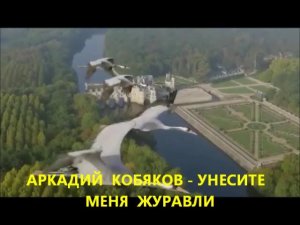 АРКАДИЙ  КОБЯКОВ -  УНЕСИТЕ  МЕНЯ  ЖУРАВЛИ