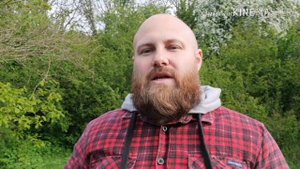 La sultane de saba - voyage sur la route de darjeeling the vert gingembre