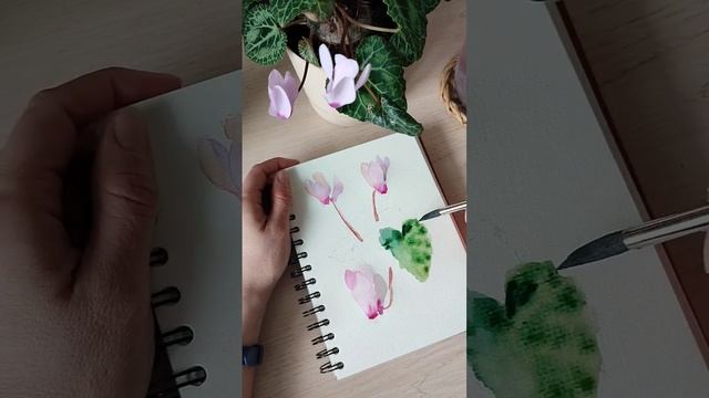 Как быстро и просто рисовать Цикламен акварелью. #акварель #урокирисования #какрисоватьакварелью