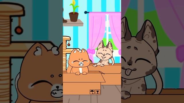 Котики в коробке ? #анимация #cat #cartoon #animation