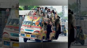 Баллада об общественном транспорте