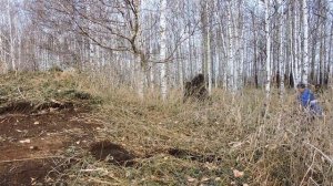 НЕ ТАКОГО РЕЗУЛЬТАТА Я ОЖИДАЛ | Удачный Коп Металлолома В Лесу На Развалинах Старой Фермы.