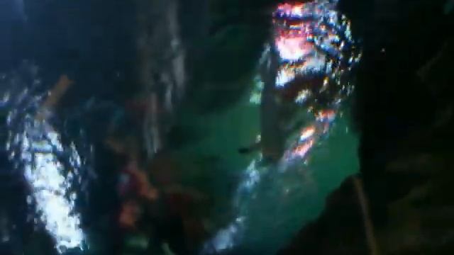 Океанариум (г. Санкт-Петербург) смотреть онлайн