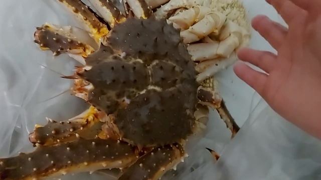 На рыбалку за камбалой 2021 год. В прилове .. смотреть онлайн