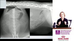 Налетова К. Н. - Рентгенография желудочно-кишечного тракта