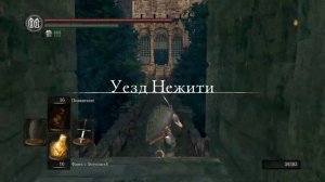 Dark Souls Remastered №26 - Склеп Тёмной Луны, Священный Сад, Святилище Олачиля