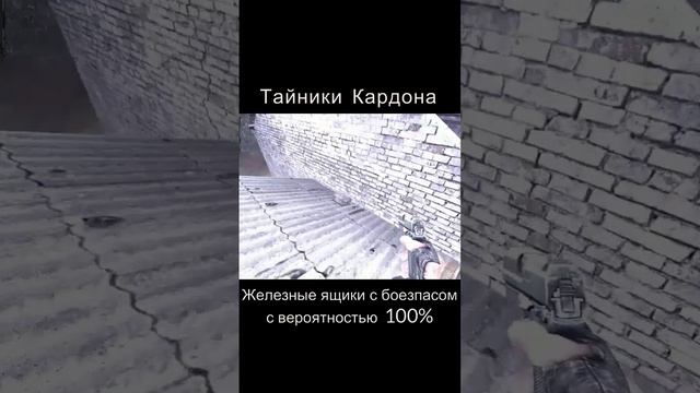 Сталкер!Кардон!Все тайники!#теньчернобыля #сталкерскийхабар