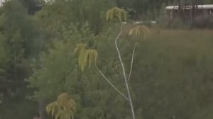 Tello. Copy test flight + stabilization from YouTube.