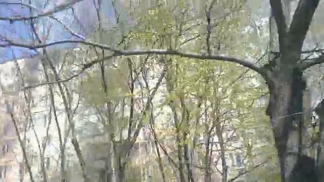 Пожар в Орехово-Борисово Южное