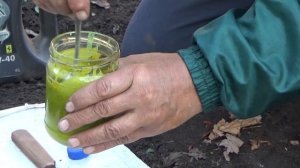 Как лечить бактериальный рак винограда