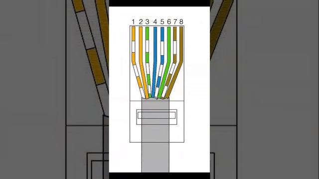 Кримпер для обжима RJ-9/RJ-11/RJ-12/RJ-45 ЮПИТЕР Видеоотзыв (обзор) Виталия