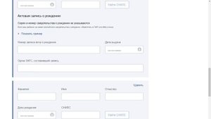 КАК ЗАПОЛНИТЬ ЗАЯВЛЕНИЕ НА ПОЛУЧЕНИЕ ВЫПЛАТЫ НА ДЕТЕЙ НА 10 000 РУБЛЕЙ