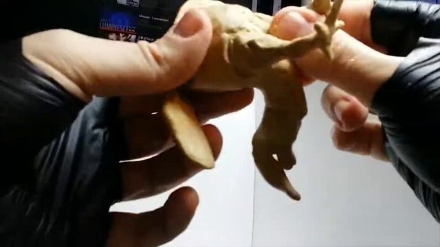 Лепка из пластилина. Петух лепка курицы. Как слепить птицу из пластилина. смотреть онлайн