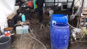 Профилактика по клубнике , чем работать ранней весной?