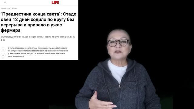Сотни овец ходят по кругу № 3880 смотреть онлайн