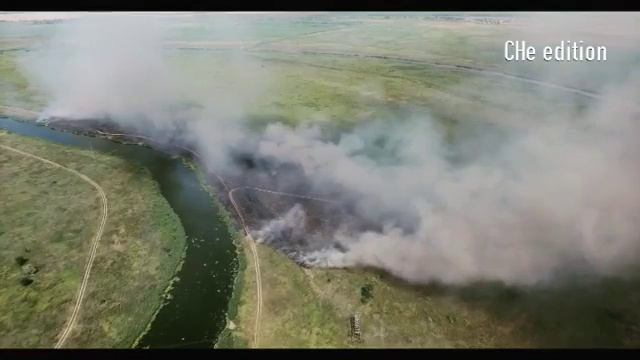 В Новочеркасске горела пойма реки Тузлов смотреть онлайн
