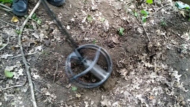 КАКОЙ ЧУДЕСНЫЙ ДЕНЬ! Отлично копнули + разведали новые места. Gold Beard смотреть онлайн