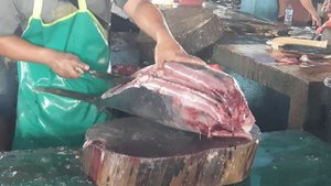 SKILLS🔥TUNA CUTTING‼️ Amazing... Brother Fadil's skills in cutting big tuna