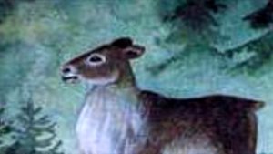 Мансийская сказка "Гордый олень"