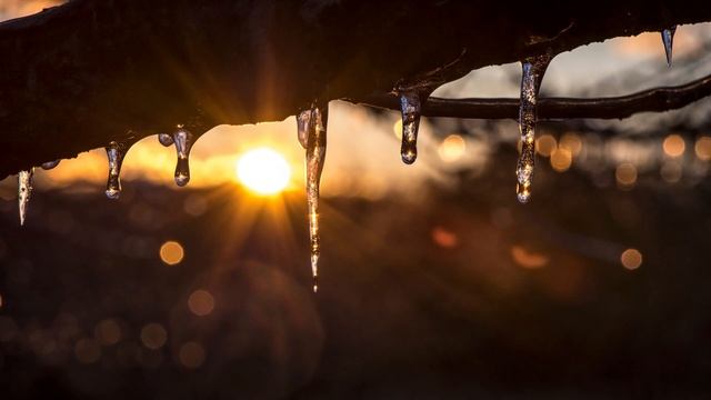 Евангелие дня 9 февраля 2023 с толкованием. Апостол дня. Жития Святых. смотреть онлайн