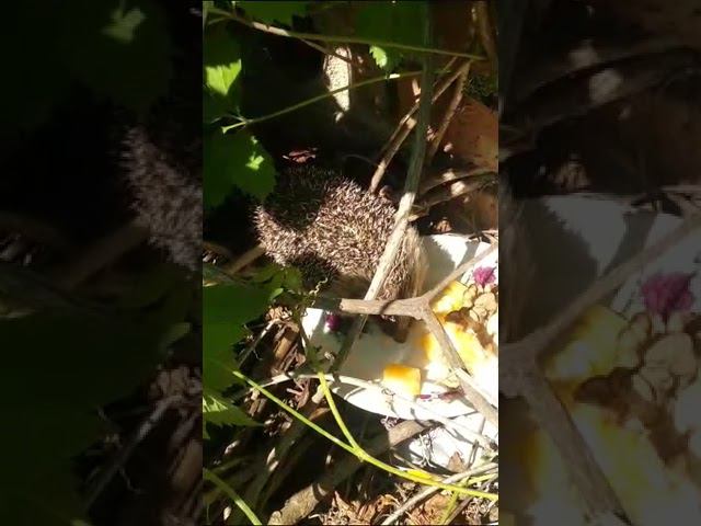 25 июня 2023 г. смотреть онлайн